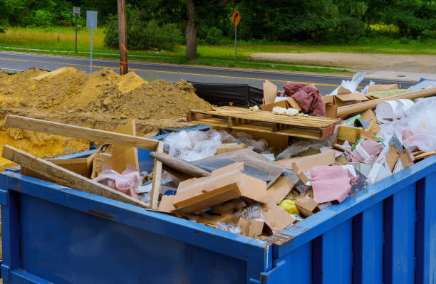 Best Shed Removal  in USA